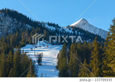 Snowy ski slope with alpine mountain peak and evergreen forest 137709335