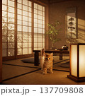 夕日のさす和室のこにゃんこ 137709808