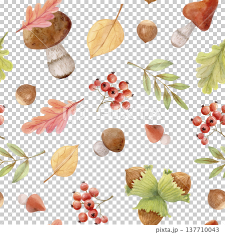 Watercolor autumn seamless pattern with forest mushrooms, berries, leaves and nuts. Cozy woodland fall design for textile prints. Watercolor autumn seamless pattern with forest mushrooms, berries, leaves and nuts. Cozy woodland fall design for textile prints. 137710043