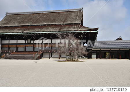 紫宸殿　京都御所(京都市上京区) 137710129