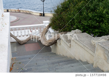 A bridge with a stone archway and a dragon carving on it. 137710498