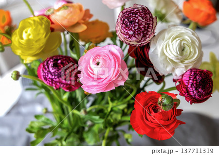 Beautiful ranunculus bouquet with colorful delicate spring flowers. 137711319