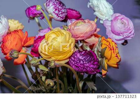 Beautiful ranunculus bouquet with colorful delicate spring flowers. 137711323