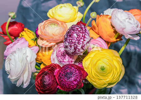 Beautiful ranunculus bouquet with colorful delicate spring flowers. Beautiful ranunculus bouquet with colorful delicate spring flowers. 137711328
