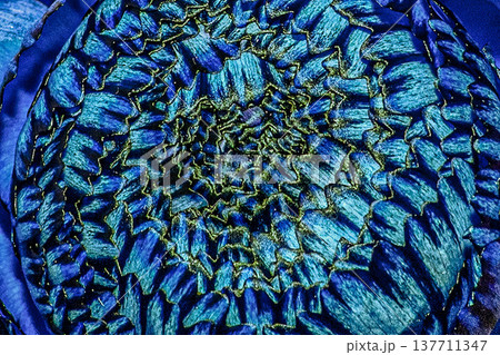 Colorful abstract organic texture background with floral pattern. Colorful abstract organic texture background with floral pattern. 137711347