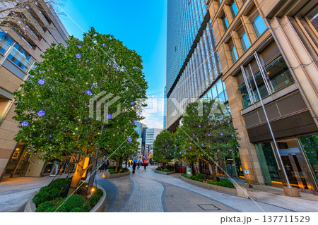 東京 千代田区 有楽町 東京ミッドタウン日比谷の夕景 東京 千代田区 有楽町 東京ミッドタウン日比谷の夕景 137711529