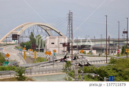 走行注意の標識が沢山設置されている道路 137711879