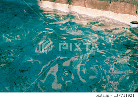 コンクリートの池で揺れる水面2 コンクリートの池で揺れる水面2 137711921