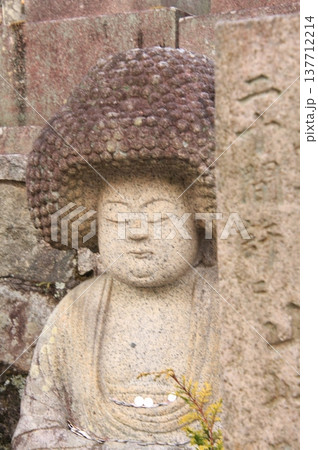 京都 くろ谷金戒光明寺の桜風景 京都 くろ谷金戒光明寺の桜風景 137712214