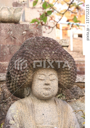 京都 くろ谷金戒光明寺の桜風景 京都 くろ谷金戒光明寺の桜風景 137712215
