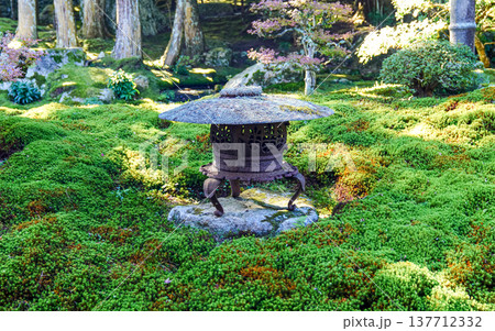 日本庭園,灯籠,苔,日本の庭園,庭園風景,和風庭園,日本文化,和の風景,自然,日本観光 137712332