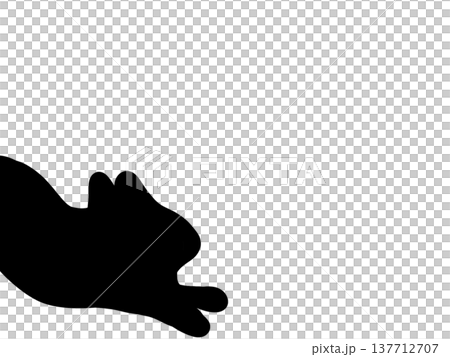 伸びをする猫のシルエット 伸びをする猫のシルエット 137712707