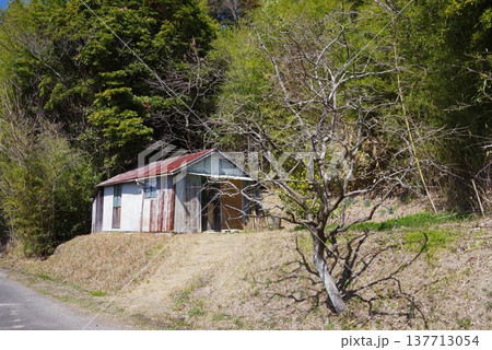 農村風景『古びた物置小屋』 137713054