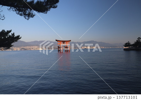 安芸の宮島 厳島神社 【広島県】#世界遺産 137713101