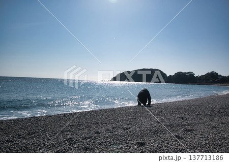 相差白浜海岸 相差白浜海岸 137713186