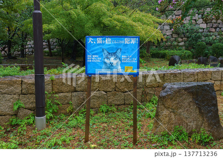 Osaka, Japan - Sep 22 2024, Panoramic view of park, near stone fence there is a blue billboard with a social advertisement with a picture of a cat and information written in Japanese, Osaka, Japan Osaka, Japan - Sep 22 2024, Panoramic view of park, near stone fence there is a blue billboard with a social advertisement with a picture of a cat and information written in Japanese, Osaka, Japan 137713236