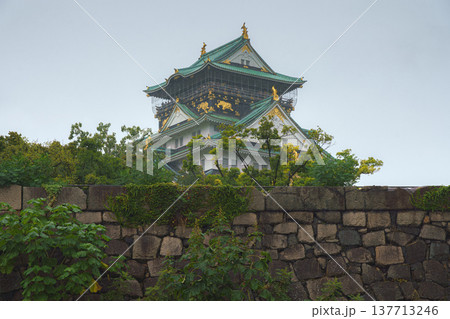 Osaka, Japan - Sep 22 2024, Panoramic view of Osaka Castle among the trees, from behind the fortress wall and the foliage of the trees, on a rainy day, without people, Osaka, Japan Osaka, Japan - Sep 22 2024, Panoramic view of Osaka Castle among the trees, from behind the fortress wall and the foliage of the trees, on a rainy day, without people, Osaka, Japan 137713246