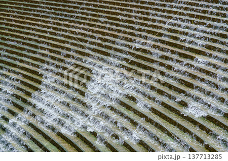 Osaka, Japan - Sep 22 2024, panoramic view from above of the water flowing down the steps of the stone staircase, fountain in Umekita Plaza, without people, at daytime, Osaka, Japan Osaka, Japan - Sep 22 2024, panoramic view from above of the water flowing down the steps of the stone staircase, fountain in Umekita Plaza, without people, at daytime, Osaka, Japan 137713285