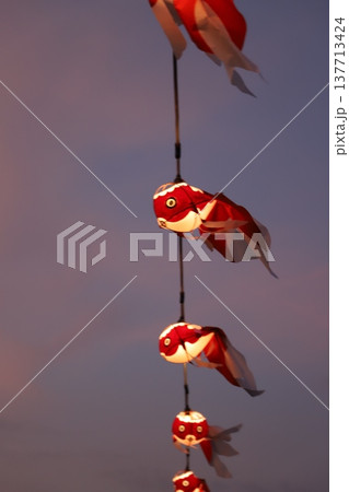『 金魚ちょうちん 白壁の町並み 』 山口県柳井市観光 『 金魚ちょうちん 白壁の町並み 』 山口県柳井市観光 137713424