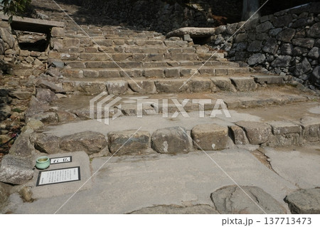 安土城跡の大手道 137713473