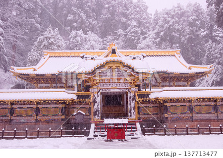 日光市　日光東照宮　雪景色の唐門と御本社 137713477