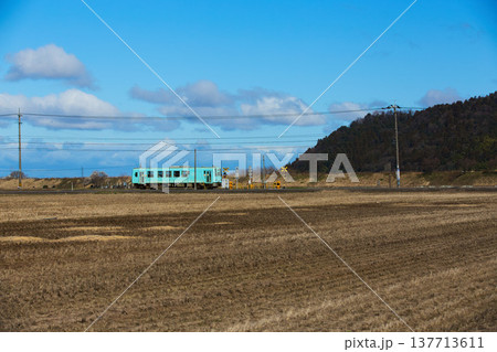 春の田園風景の中をを走る越美北線 春の田園風景の中をを走る越美北線 137713611
