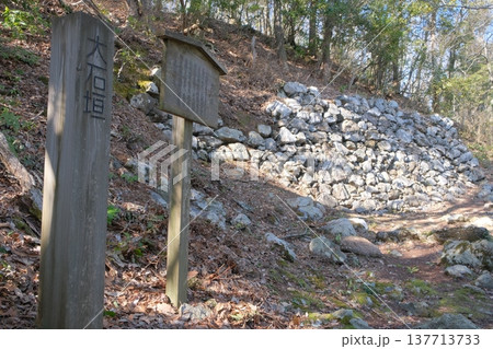 小谷城の大石垣 137713733
