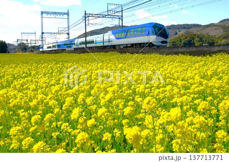 菜の花畑を快走特急しまかぜ 菜の花畑を快走特急しまかぜ 137713771