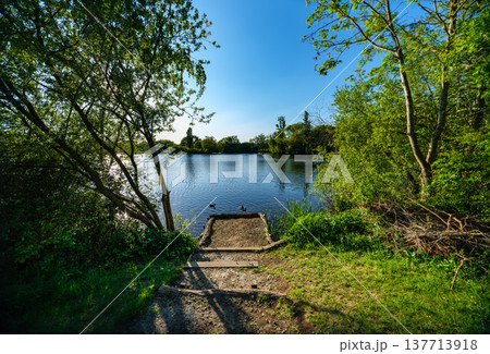 Woodland trail descending through trees toward the edge of calm water while sunlight reflects across the lake surface. 137713918