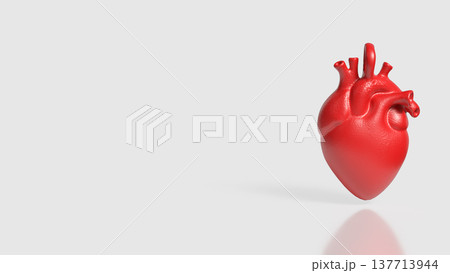 Realistic Red Human Heart Anatomy Medical 3D Model 137713944
