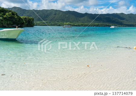 夏の沖縄県石垣島に広がる美しい風景 夏の沖縄県石垣島に広がる美しい風景 137714079