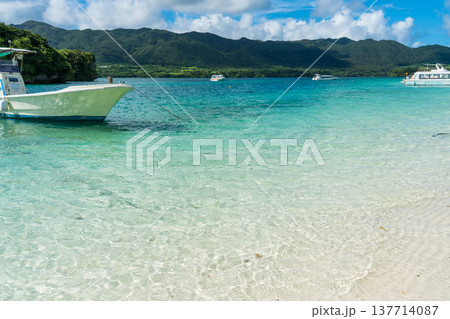 夏の沖縄県石垣島に広がる美しい風景 137714087