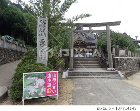 香川県観音寺市の藤目山の麓、岩鍋池の畔にある神社で、あじさいの宮、アジサイ神社とも呼ばれる粟井神社 香川県観音寺市の藤目山の麓、岩鍋池の畔にある神社で、あじさいの宮、アジサイ神社とも呼ばれる粟井神社 137714145