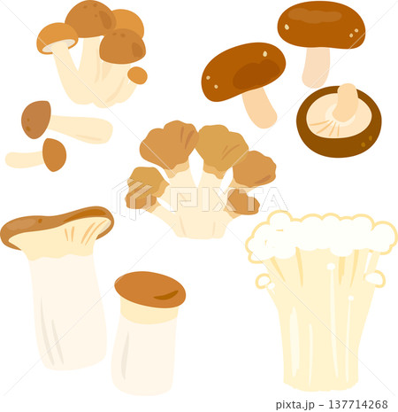 食用キノコのイラストセット 食用キノコのイラストセット 137714268
