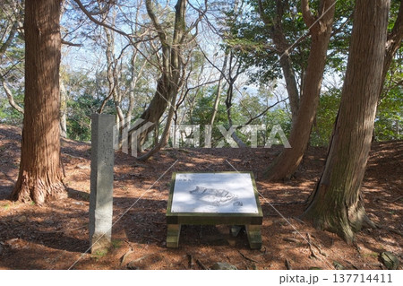 小谷城跡の京極丸 小谷城跡の京極丸 137714411