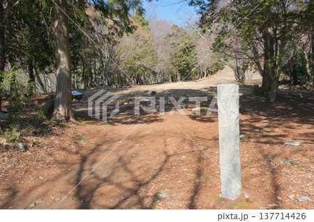 小谷城址の本丸大広間跡 137714426