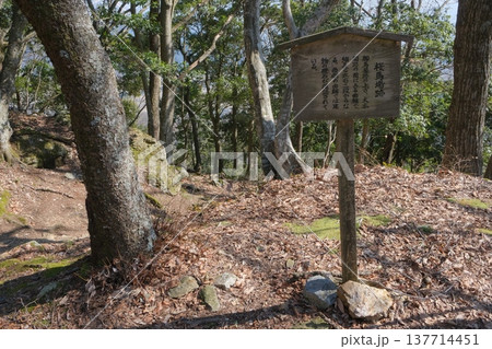 小谷城址の桜馬場 小谷城址の桜馬場 137714451