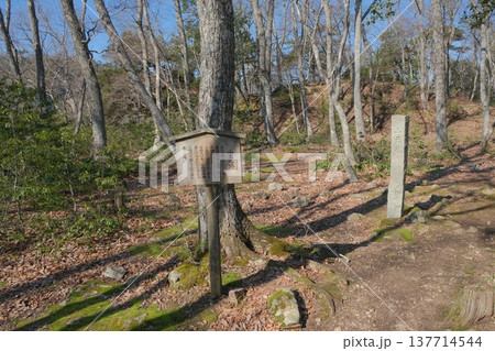 小谷城址の山王丸 137714544