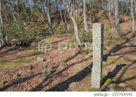 小谷城址の山王丸 小谷城址の山王丸 137714545
