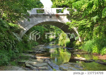 鎌倉 東勝寺橋　北条氏終焉の地・東勝寺跡前を流れる滑川の風景 137714709