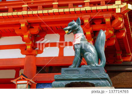 Kyoto, Japan - Sep 23 2024, Close-up view of the stone statue of kitsune, a Japanese fox holding a golden object in its mouth, with red facade of Fushimi-Inari Temple in background, Kyoto, Japan 137714765