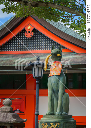 Kyoto, Japan - Sep 23 2024, Close-up view of the stone statue of kitsune, a Japanese fox holding a golden object in its mouth, with red facade of Fushimi-Inari Temple in background, Kyoto, Japan 137714772