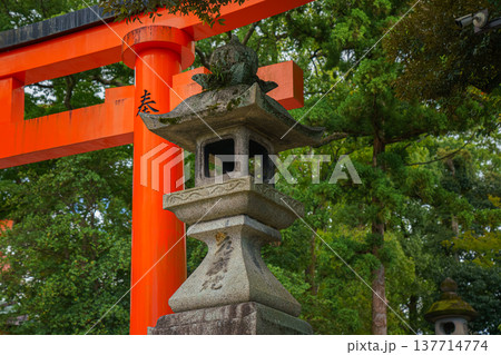 Kyoto, Japan - Sep 23 2024, panoramic view of the stone lantern with the giant red Torii gate and the foliage of trees in the background, Fushimi Inari Temple, without people, at daytime, Kyoto, Japan 137714774