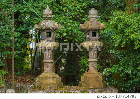 Kyoto, Japan - Sep 23 2024, close up view of two stone lanterns with green foliage of trees in the background, Fushimi Inari Temple, at daytime, without people, Kyoto, Japan Kyoto, Japan - Sep 23 2024, close up view of two stone lanterns with green foliage of trees in the background, Fushimi Inari Temple, at daytime, without people, Kyoto, Japan 137714795