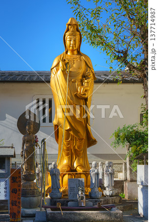 Kyoto, Japan - Sep 23 2024, vertical, close up view of golden statue of Avalokiteshvara Bodhisattva Kanzeon at Fushimi Inari Grand Shrine, at daytime, without people, Kyoto, Japan 137714987