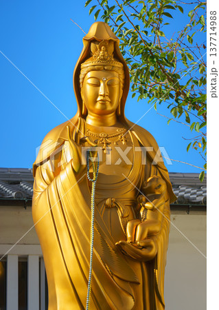 Kyoto, Japan - Sep 23 2024, vertical, close up view of golden statue of Avalokiteshvara Bodhisattva Kanzeon at Fushimi Inari Grand Shrine, at daytime, without people, Kyoto, Japan Kyoto, Japan - Sep 23 2024, vertical, close up view of golden statue of Avalokiteshvara Bodhisattva Kanzeon at Fushimi Inari Grand Shrine, at daytime, without people, Kyoto, Japan 137714988
