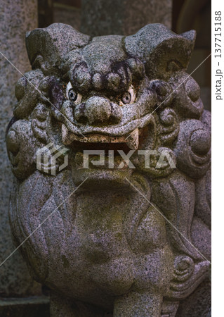 Kyoto, Japan - Sep 23 2024, A close-up view of a stone statue of an Asian dragon with a mane and an aggressive muzzle, stands near one of the altars at the Fushimi Inari Temple, vertical, Kyoto, Japan Kyoto, Japan - Sep 23 2024, A close-up view of a stone statue of an Asian dragon with a mane and an aggressive muzzle, stands near one of the altars at the Fushimi Inari Temple, vertical, Kyoto, Japan 137715188