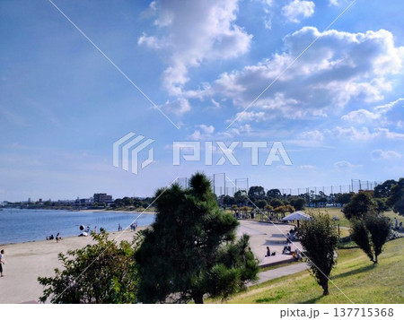 夏のふるさとの浜辺公園 夏のふるさとの浜辺公園 137715368