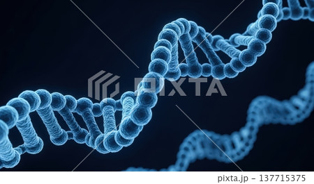 DNAの二重らせん構造の電子顕微鏡拡大イメージCG、遺伝子と分子生物学の科学・医学教育素材 DNAの二重らせん構造の電子顕微鏡拡大イメージCG、遺伝子と分子生物学の科学・医学教育素材 137715375