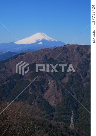 大山からの富士山 大山からの富士山 137715424